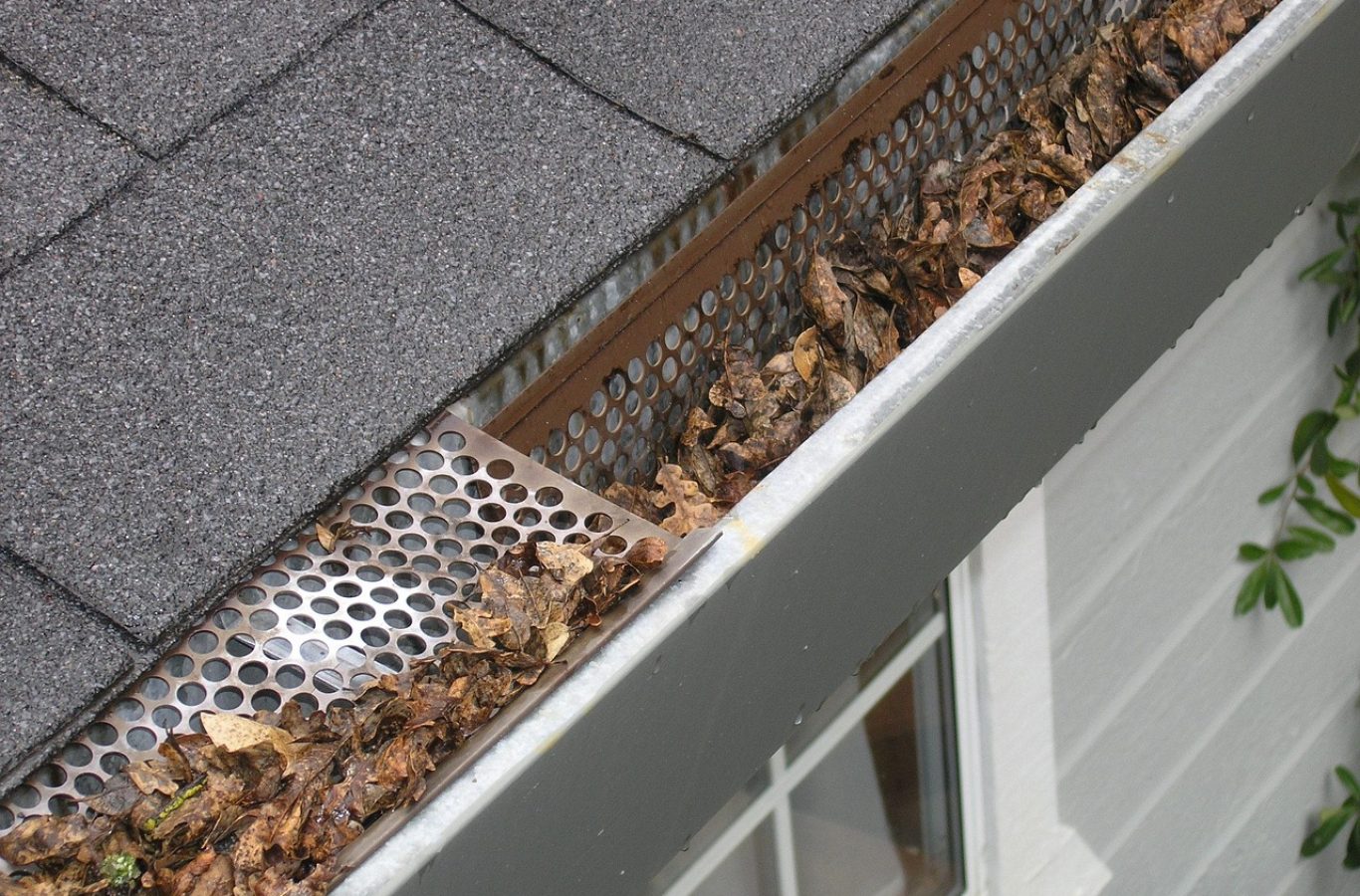 Professional gutter cleaning service in Charlotte, NC – Junk Raider team ensuring debris-free gutters for residential and commercial properties.